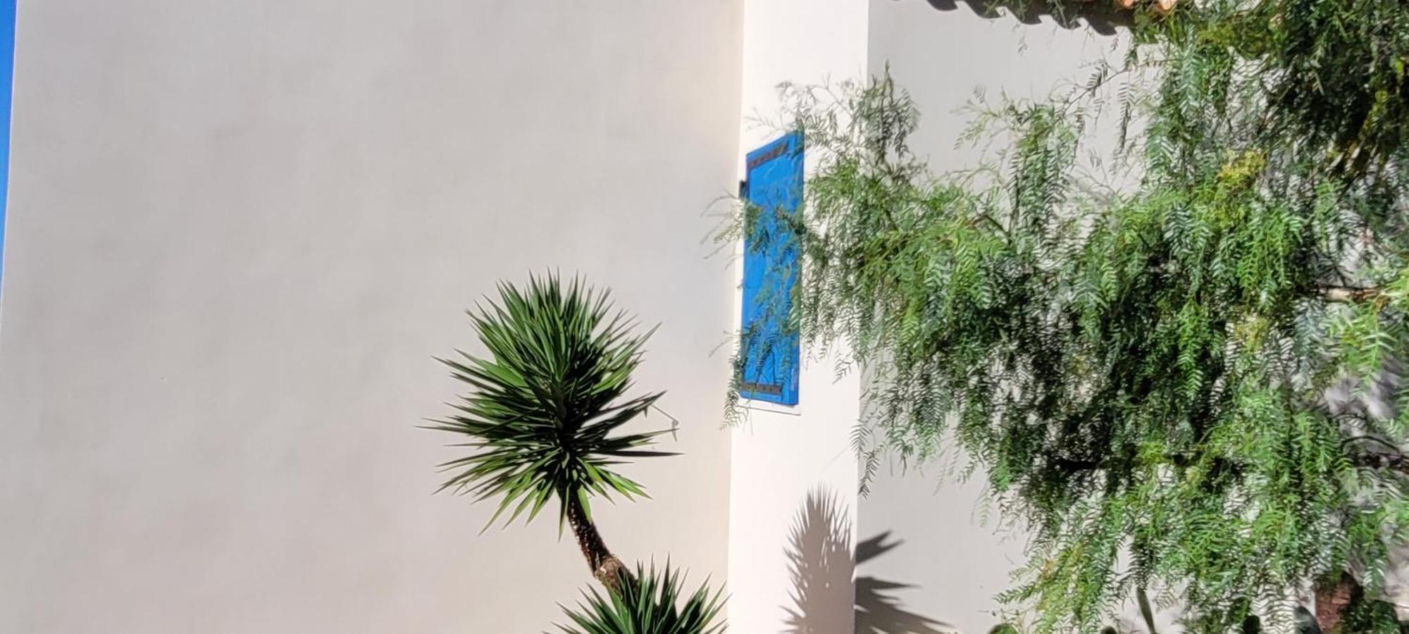 مبيت وإفطار سوسيه-لي-بان Les Cactus Bleus المظهر الخارجي الصورة